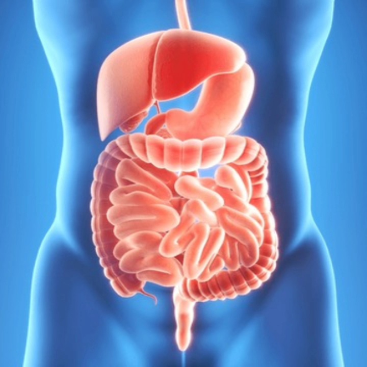 vn20260209 114144(3).jpg (4)